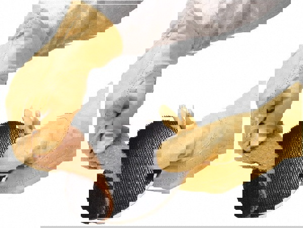 Disc Backing Pad: Hook & Loop