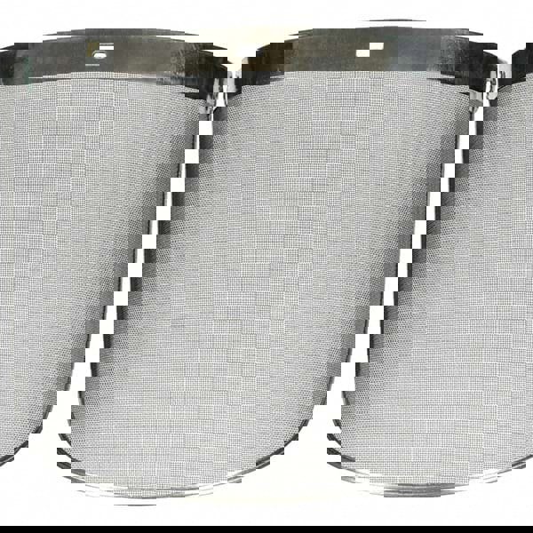 Face Shield Windows & Screens: Face Shield Window, Clear, 9