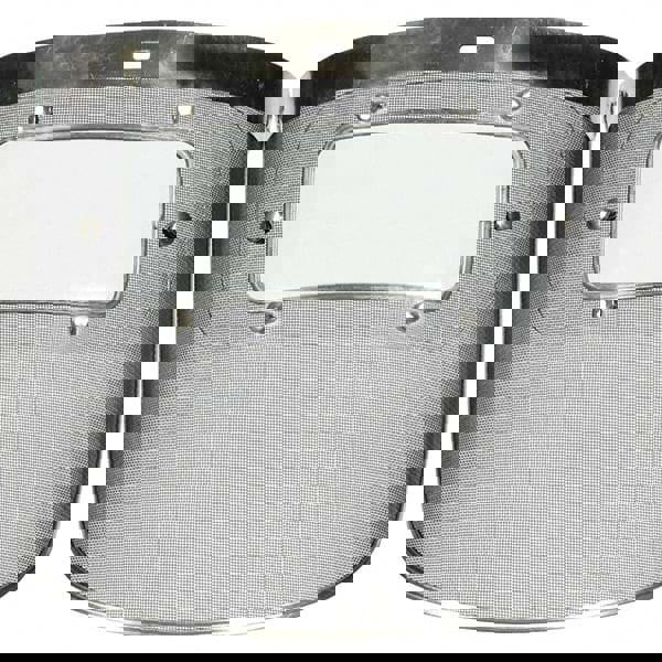 Face Shield Windows & Screens: Face Shield Window, Clear, 9