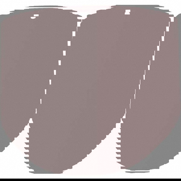 Face Shield Windows & Screens: Face Shield (Anti-Fog), Clear, 9