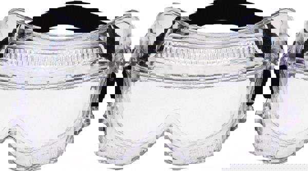 Safety Goggles: Clear Polycarbonate Lenses