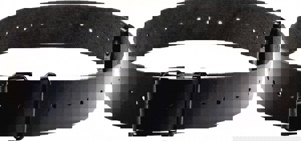 PAPR & SAR Headgear: Versaflo TR-300, Leather