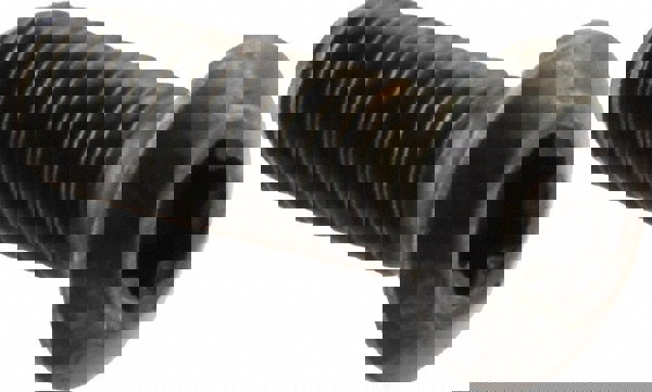 Cap Screw for Indexables: T20 Torx, M5 x 0.8 Thread