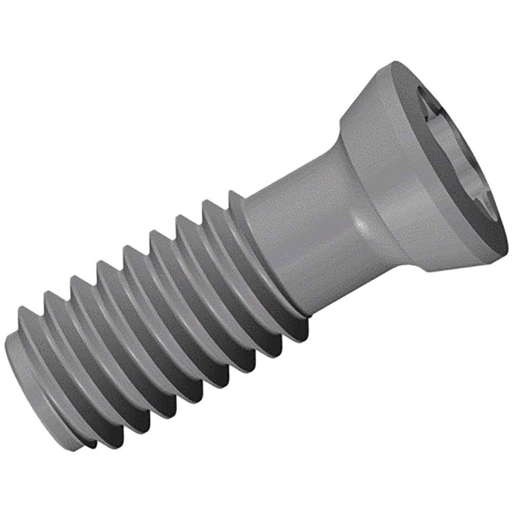Cap Screw for Indexables: Hex Socket Drive, M6 Thread