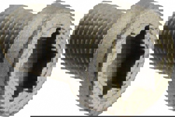 Cap Screw for Indexables: T8 Torx, M2.5 x 0.45 Thread