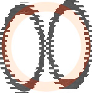 1-1/2 RR 1/8 150# RNG GSKT