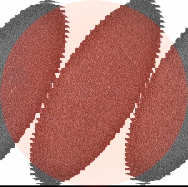 Quick-Change Disc: Roloc TSM, 4