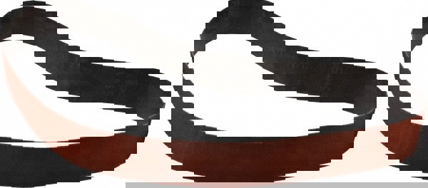 Abrasive Belt: 2-1/2