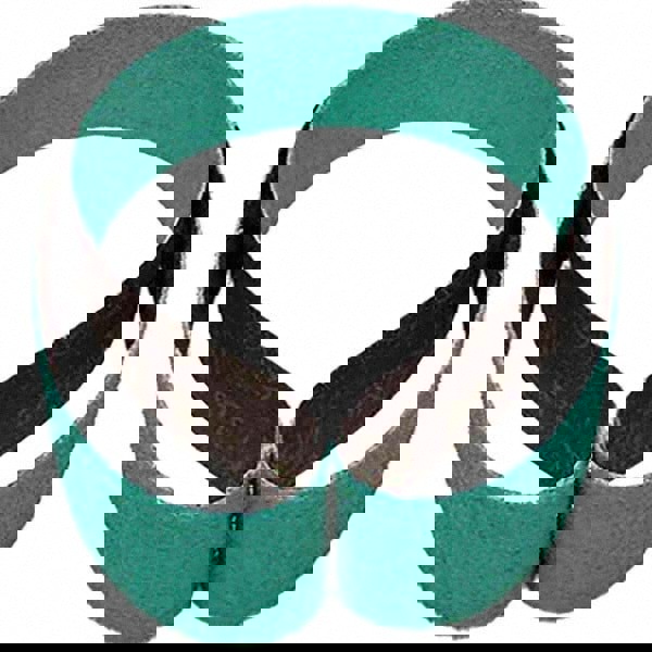 Abrasive Belt: 2-1/2