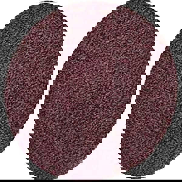 Quick-Change Disc: Roloc TS, 3