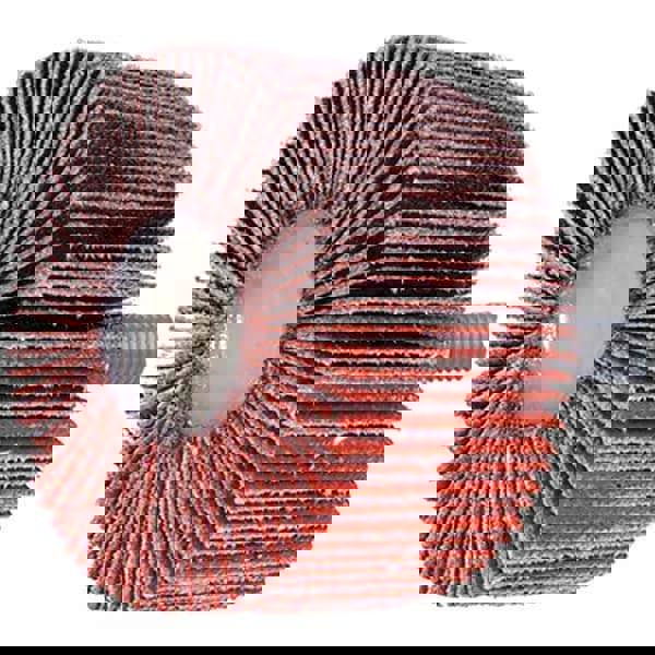 Mounted Flap Wheel: 3