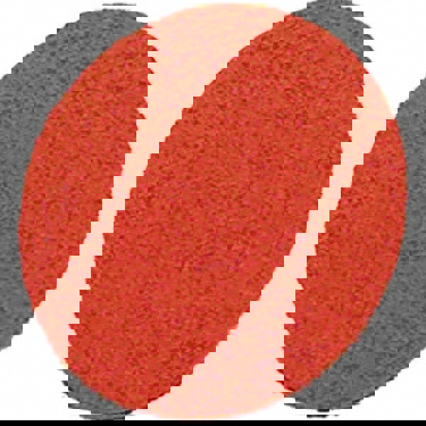 Quick-Change Disc: Roloc TS, 1