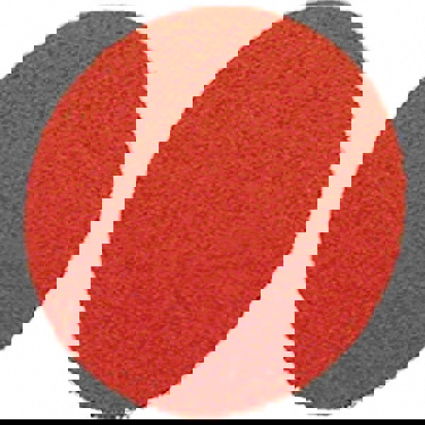 Quick-Change Disc: Roloc TS, 2