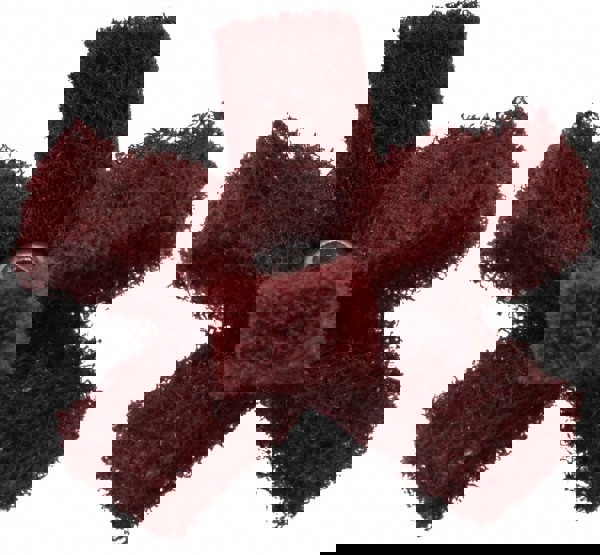 Unmounted Scrubber Buffing Wheel: 2