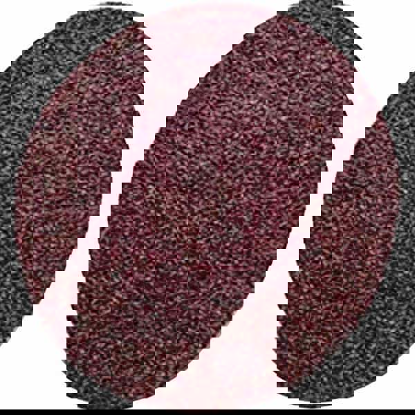 Quick-Change Disc: Roloc TS, 2