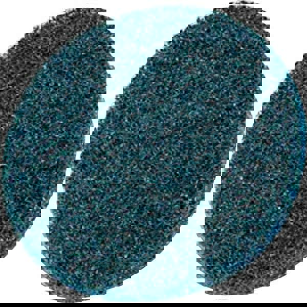 Hook & Loop Disc: 1-1/2