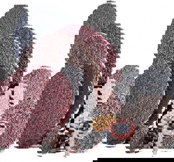 Quick-Change Disc: Lockit, 4