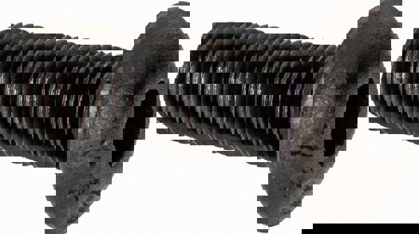 Button Socket Cap Screw: #8-36, 1/2