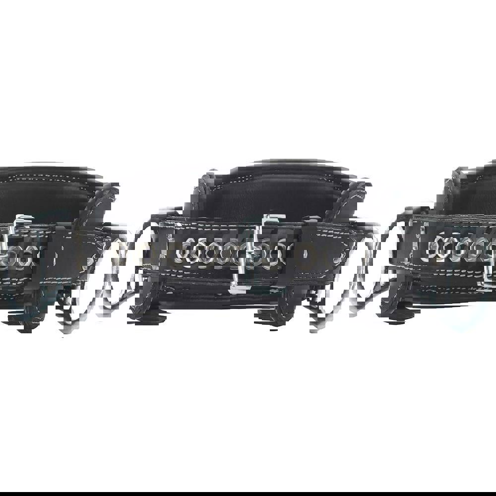 Body Belts; Belt Type: Body Belt ; Belt Size: Universal ; Load Capacity: 310lb; 141kg ; Maximum Waist Size: 40in ; Minimum Waist Size: 32in ; Number of D-Rings: 2