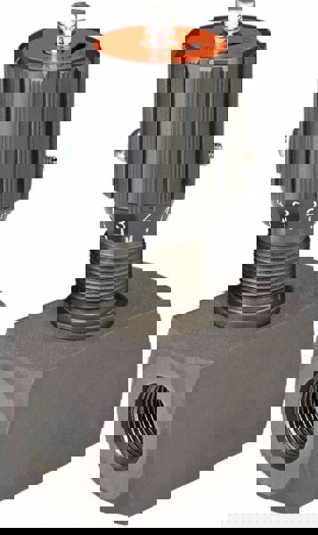 Needle Valve: Straight, 1/2