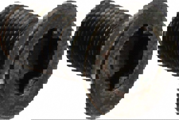 Cap Screw for Indexables: T8 Torx, M2.6 x 0.45 Thread