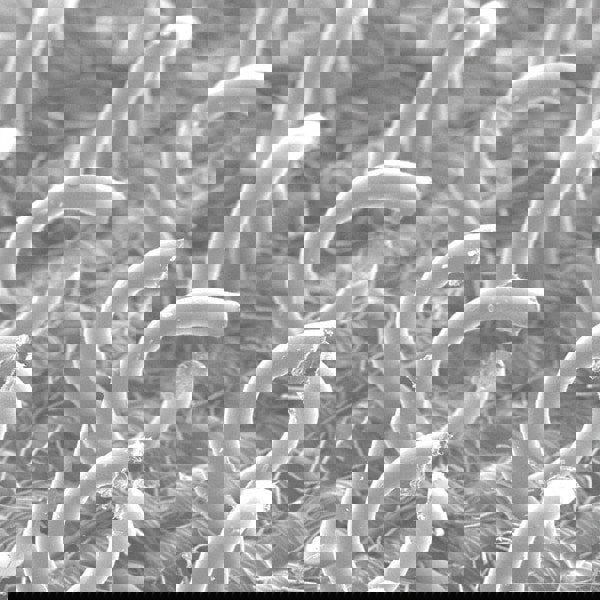 Disc Backing Pad: Hook & Loop