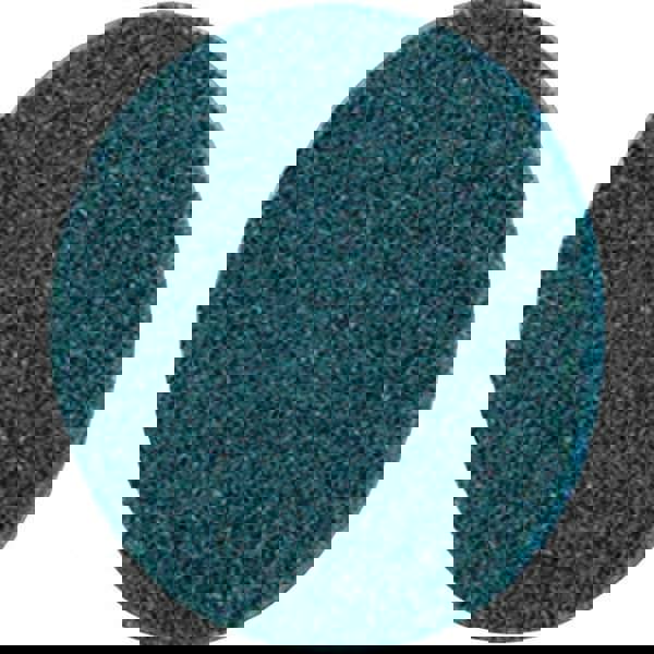 Quick-Change Disc: Roloc TR, 4