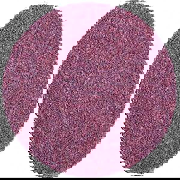 Quick-Change Disc: Roloc TR, 3