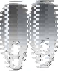 Facepiece Replacement Lens: