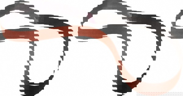 Abrasive Belt: 1-1/8