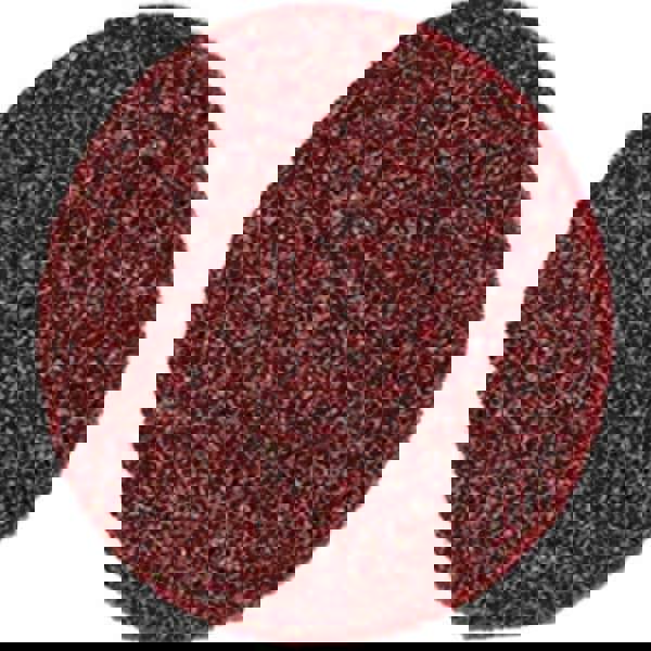 Quick-Change Disc: Roloc TS, 3