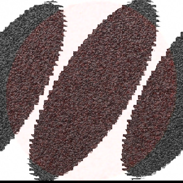 Quick-Change Disc: Roloc TR, 1-1/2