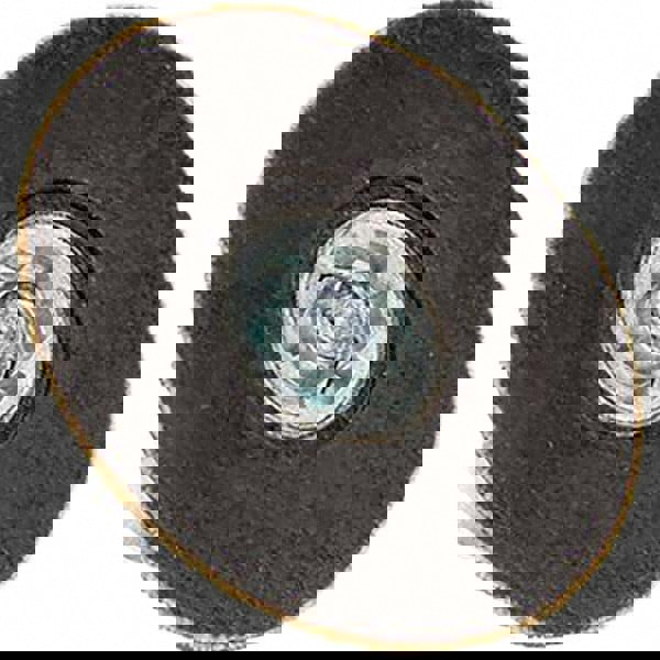Disc Backing Pad: Quick-Change Type P
