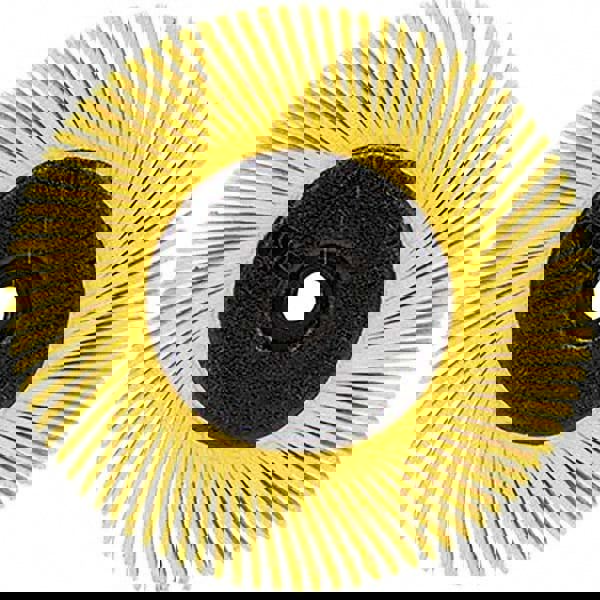 Radial Bristle Brush: Plain Arbor Connection, 1
