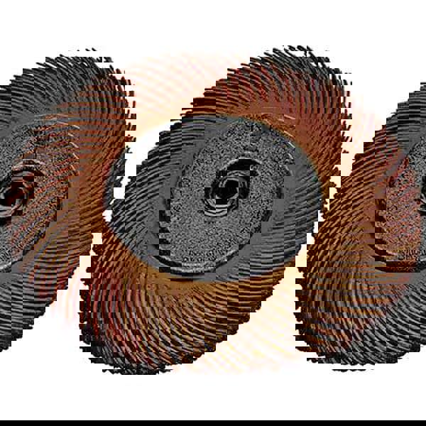 Radial Bristle Brush