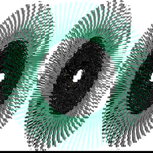 Radial Bristle Brush: Plain Arbor Connection, 1