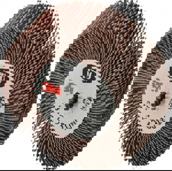 Mounted Flap Wheel: 1