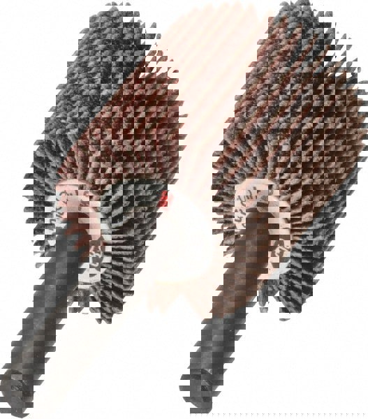 Mounted Flap Wheel: 1