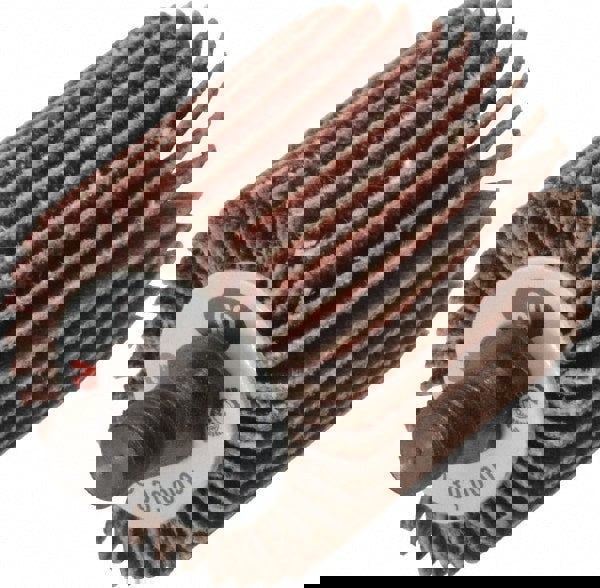 Mounted Flap Wheel: 1