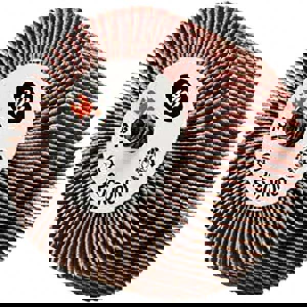 Mounted Flap Wheel: 1