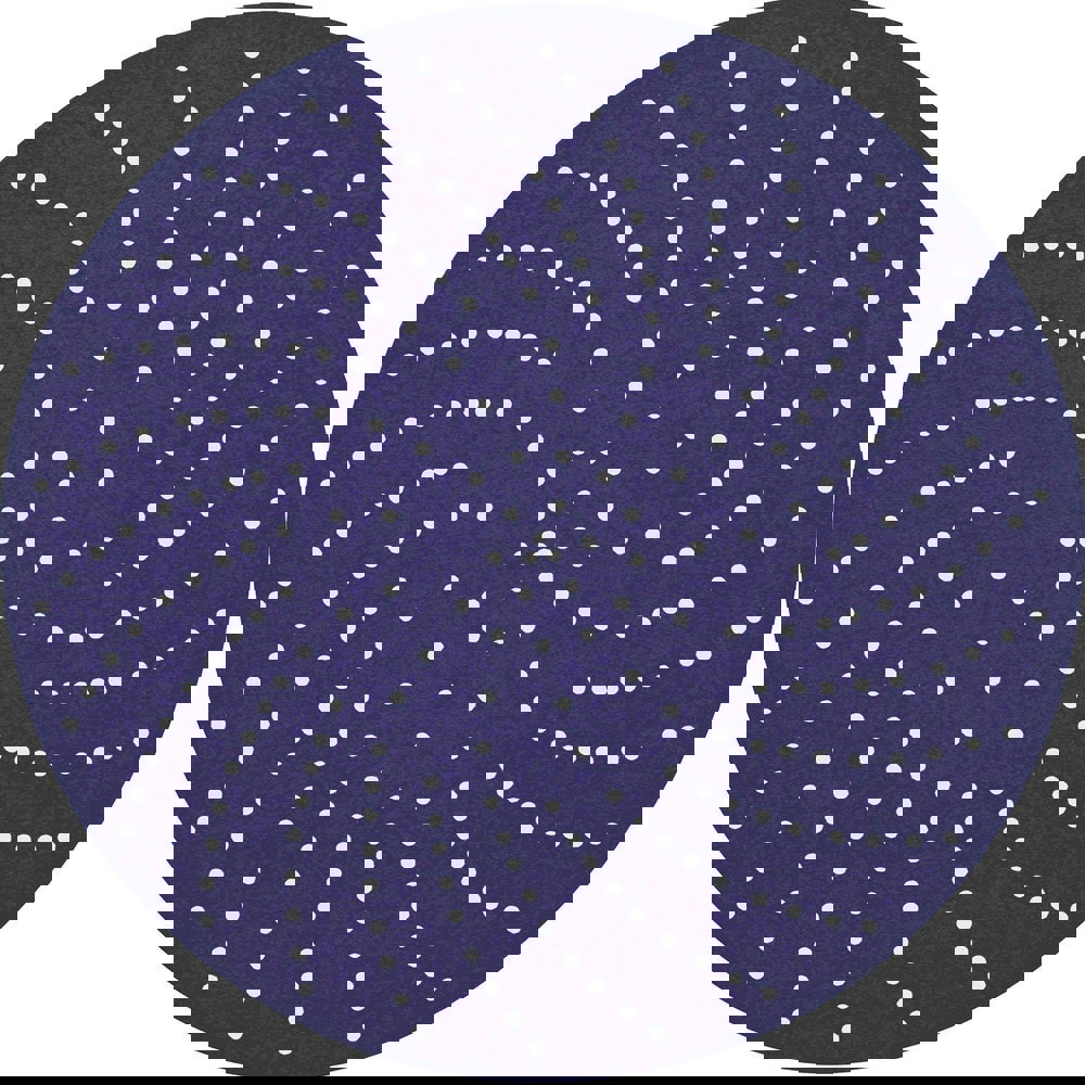 Hook & Loop Disc: 6 in