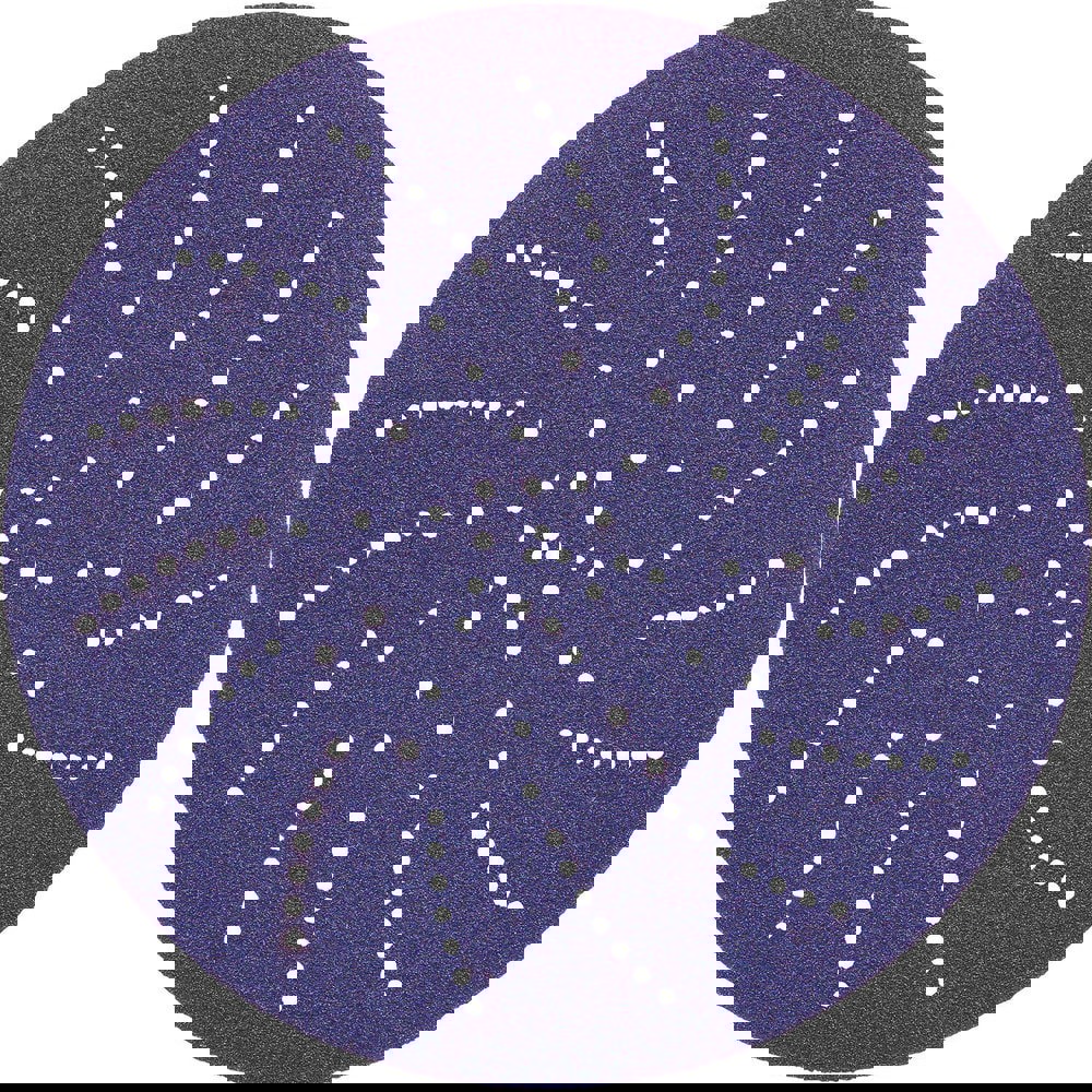 Hook & Loop Disc: 5 in