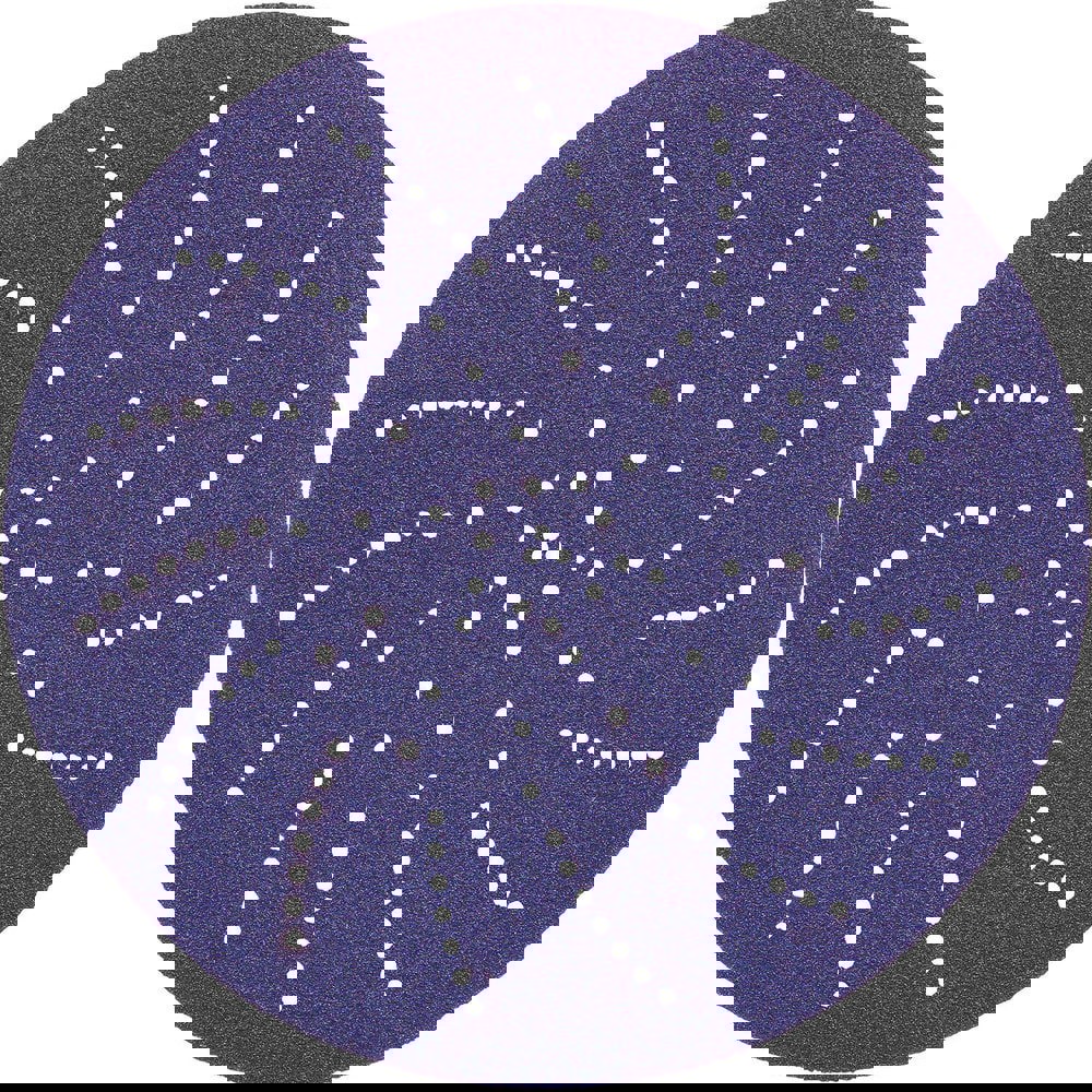 Hook & Loop Disc: 5 in