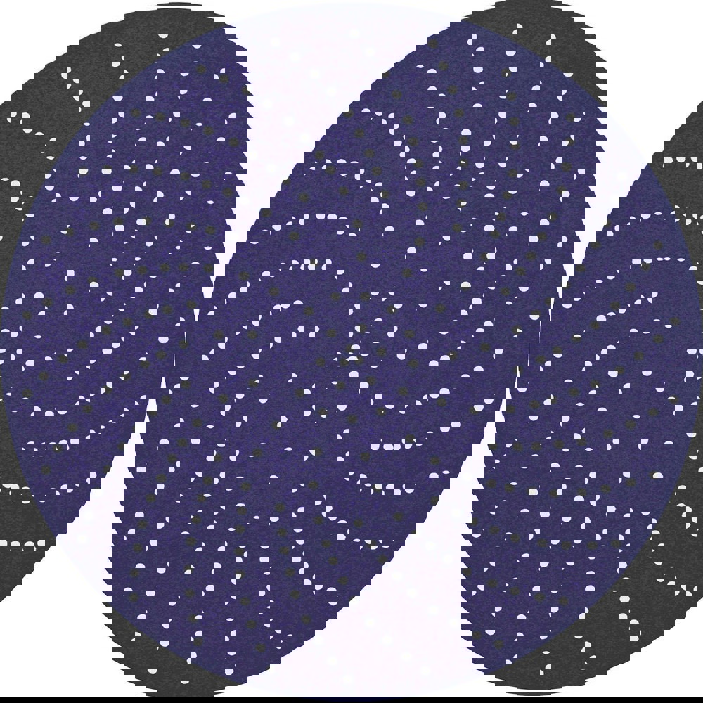 Hook & Loop Disc: 6 in