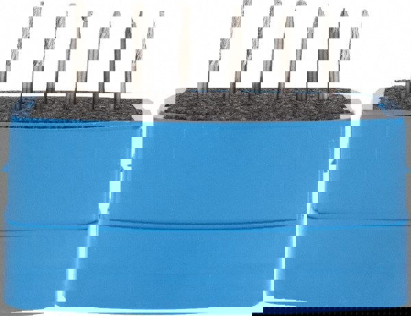 6 Pc Diamond Cut Burr Set with Ball, Cylinder, Cylinder w/Rad End, Taper, Tree w/Pointed End, Tree w/Rad End