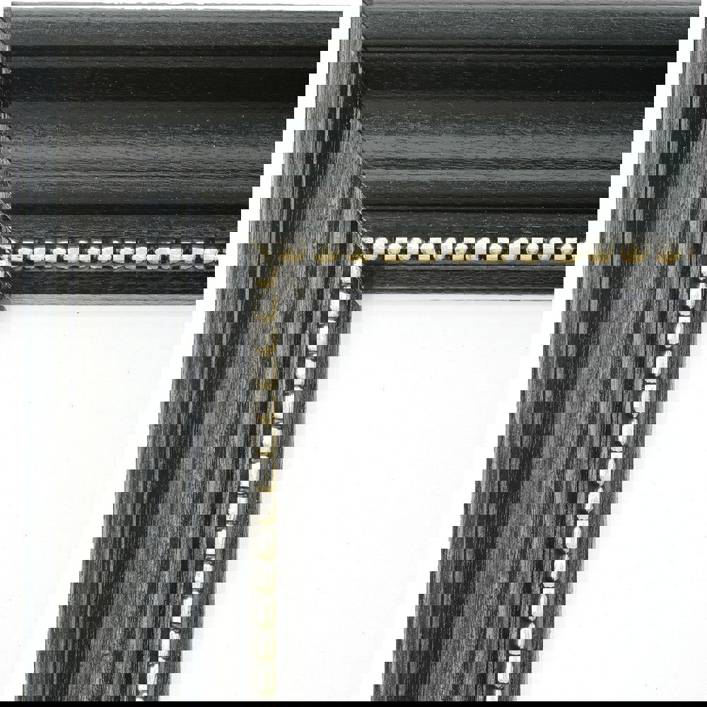 FRAME, PICTURE, BLACK, GOLD TRIM, 11