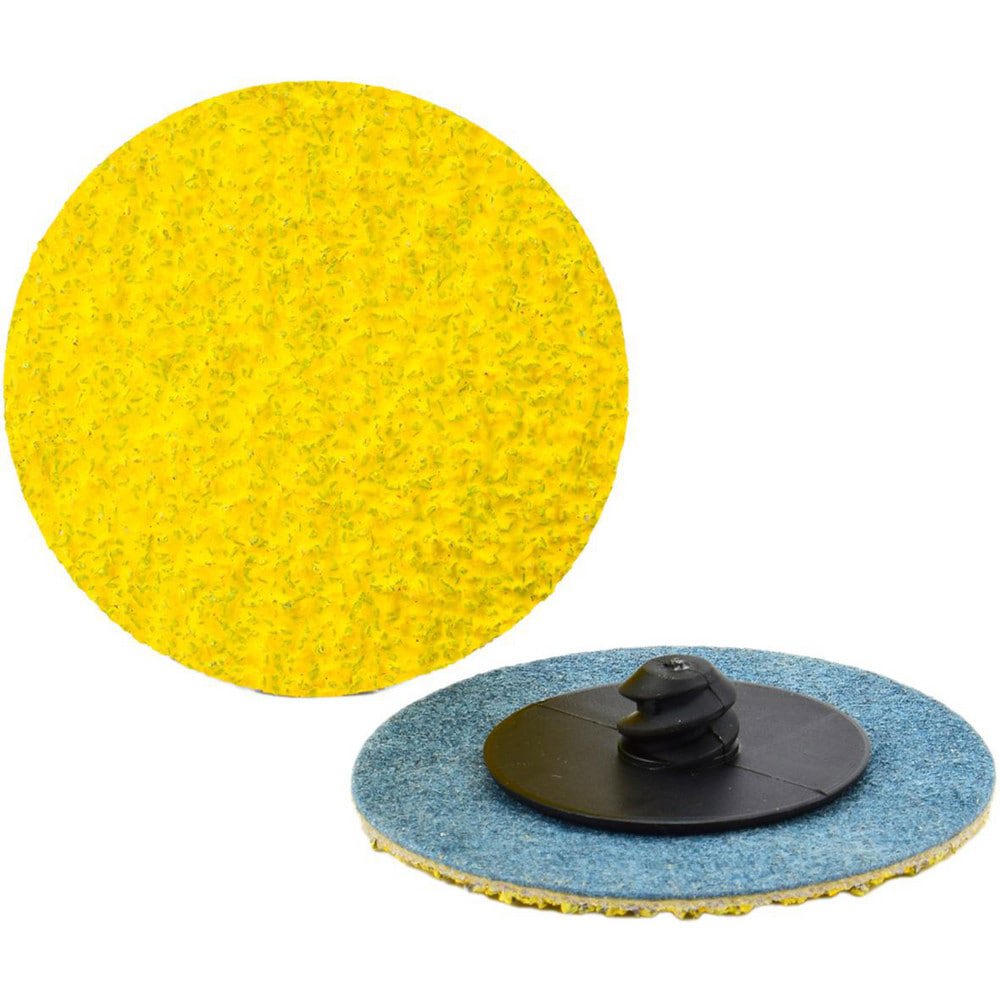 Quick Change Discs; Disc Diameter: 2 ; Abrasive Type: Coated ; Abrasive Material: Ceramic Alumina ; Grit: 24 ; Grade: Extra Coarse ; Quick Change Compatibility: Type R