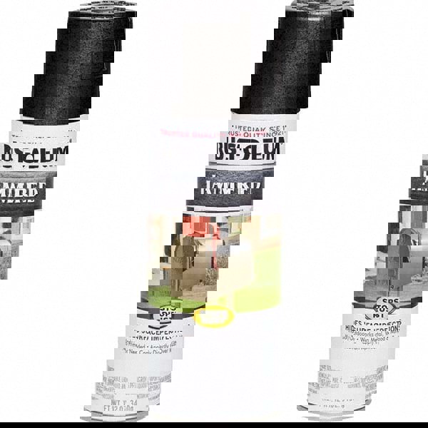 Enamel Spray Paint: Black, Hammertone, 12 oz