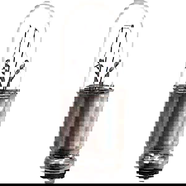 Incandescent Miniature & Specialty S8 Lamp