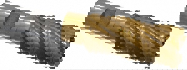 Roughing & Finishing End Mill: 1